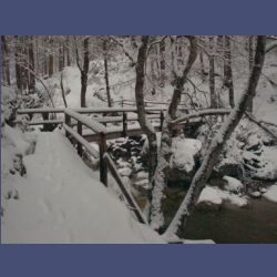 2013-02-02_Rappinschlucht_Lainlalm (028).jpg